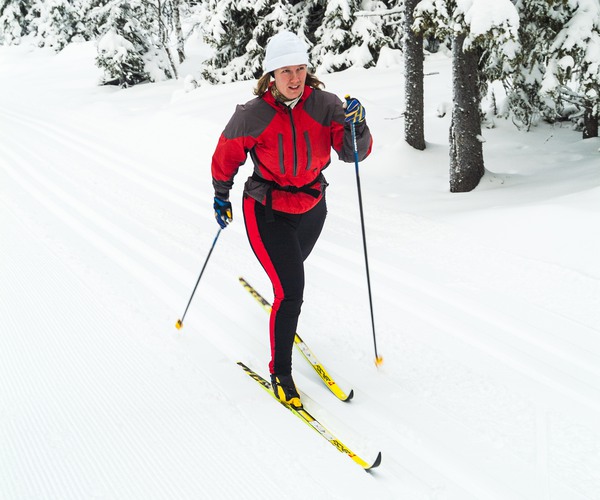 en längdskidåkare åker i ett spår i skogen