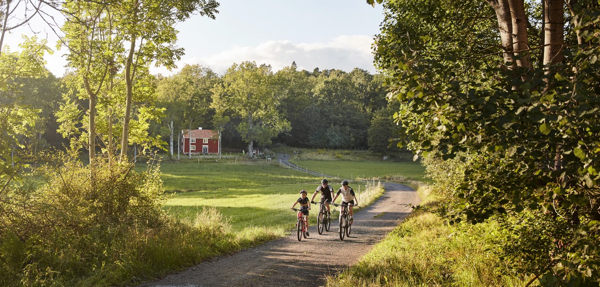 Familj cyklar på landet