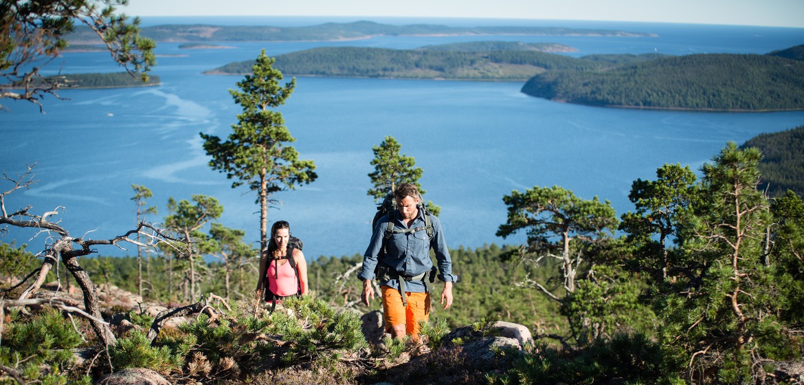 Två personer vandrar på ett berg i Höga Kusten. 