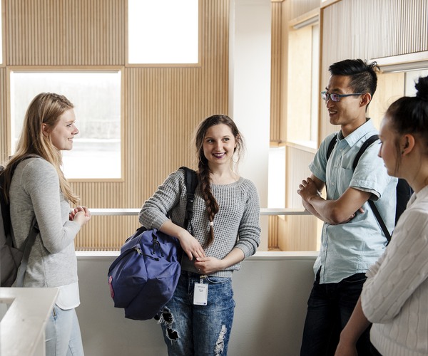 En grupp elever från högskola samtalar i trappen