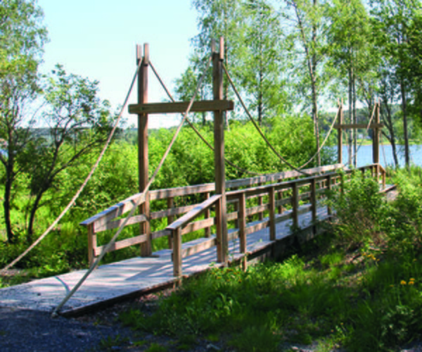 gångbro i trä i ett naturområde