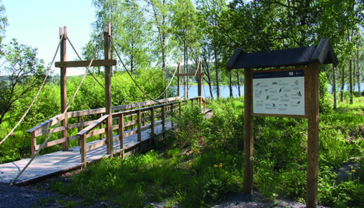 gångbro i trä i ett naturområde