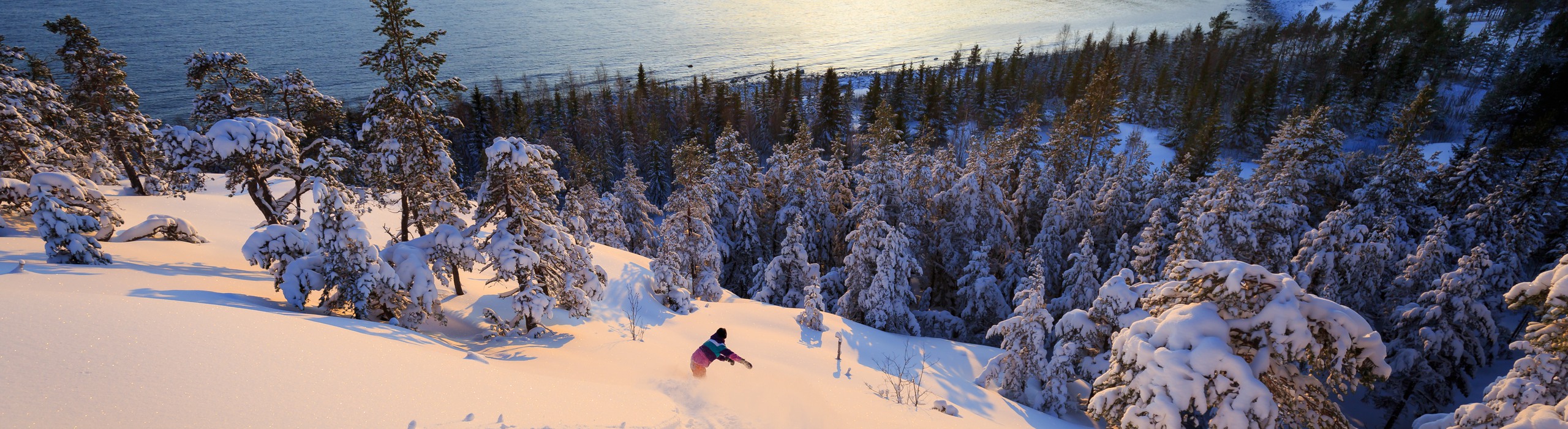 en person åker snowboard nedför ett berg med havet i bakgrunden
