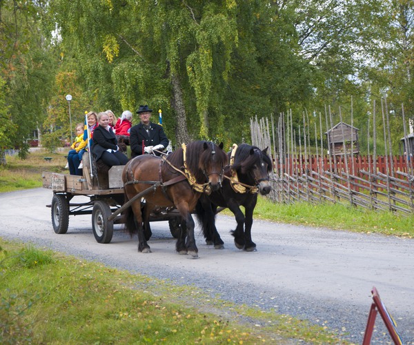 två hästar drar en vagn med människor som åker