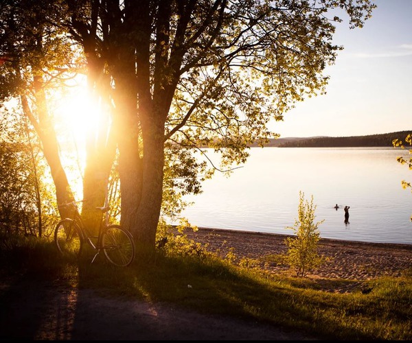 en strand med en solnedgång som lyser genom ett träd. I bakgrunden badar två personer i vattnet